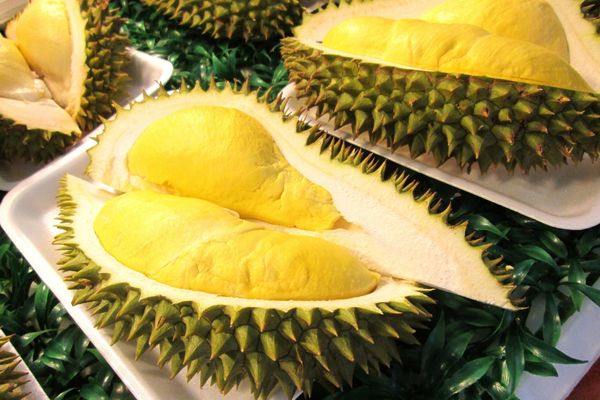 durian meyvesi nedir