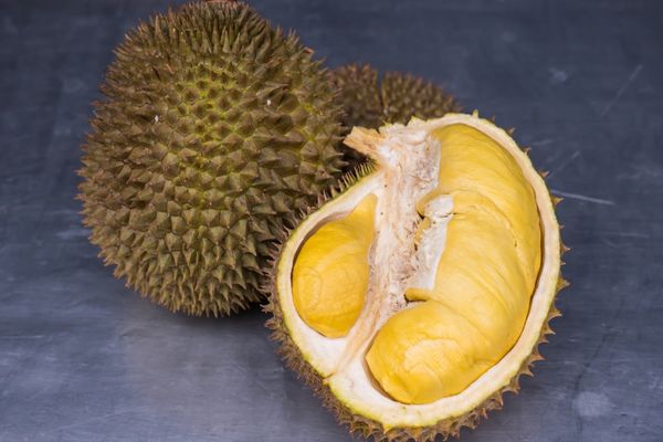 durian meyvesi faydaları