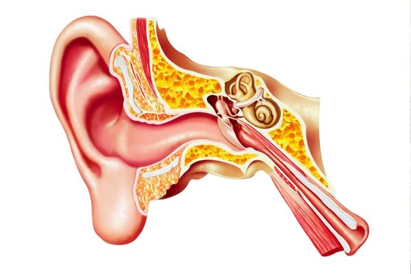 kulak zarı delinmesi bitkisel tedavi