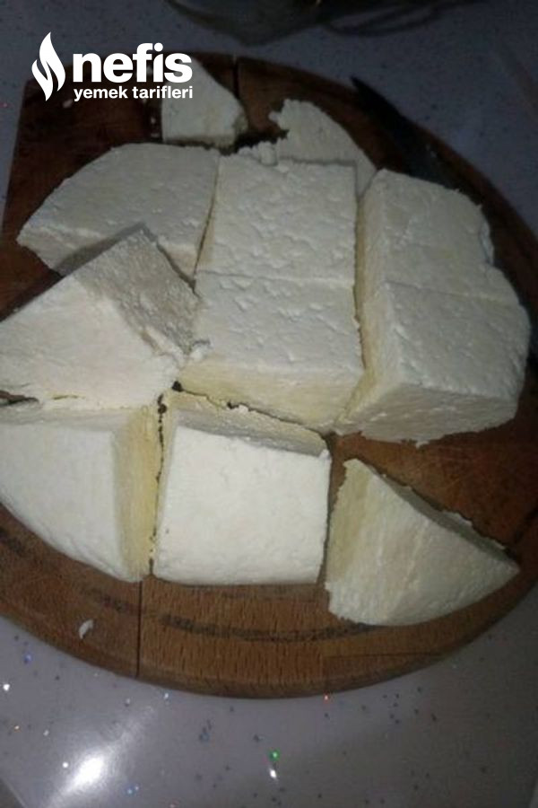 Peynir Yapımı