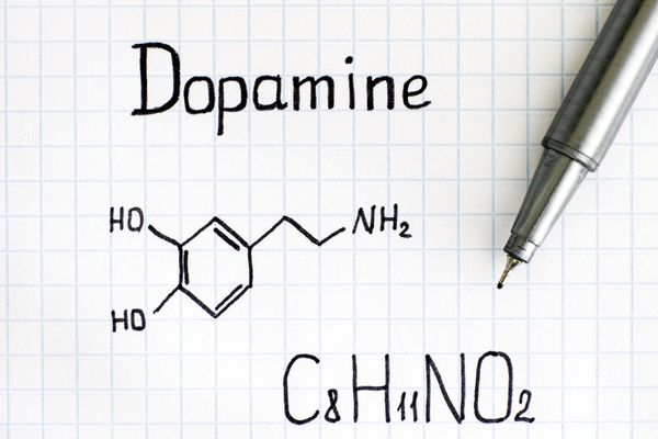 Dopamin Hormonunu Artıran 12 Doğal Besin