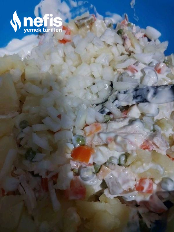 Rus Salatası-11045268-200408