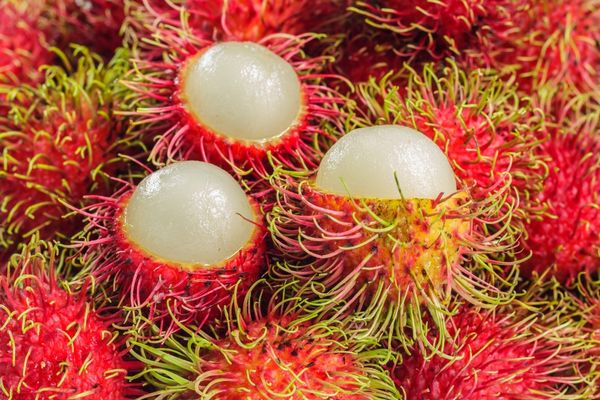 Rambutan Meyvesi Nedir? 10 İnanılmaz Faydası Tarifi
