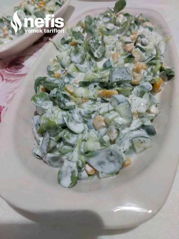 Çok Lezzetli Semizotu Salatası