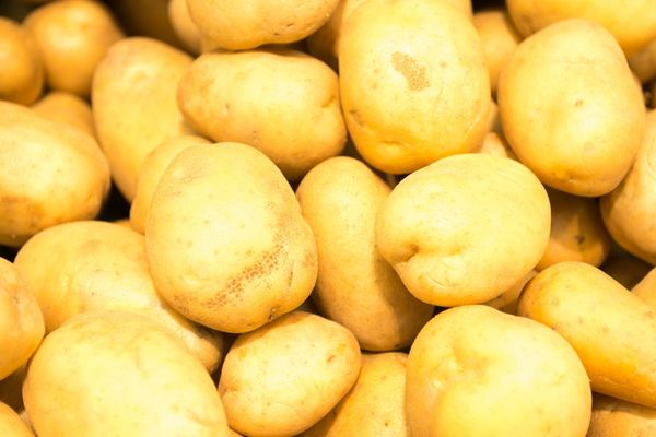 sarı bamba patates