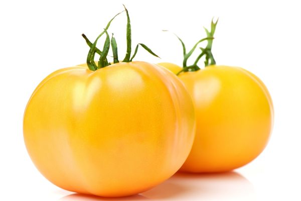 sarı domates tohumu