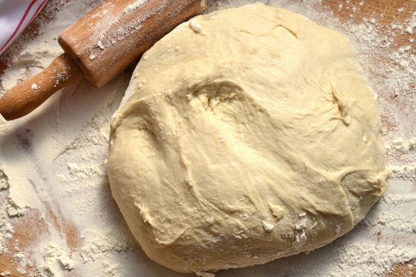 ekmek yaparken kullanılan maya hangi türe aittir