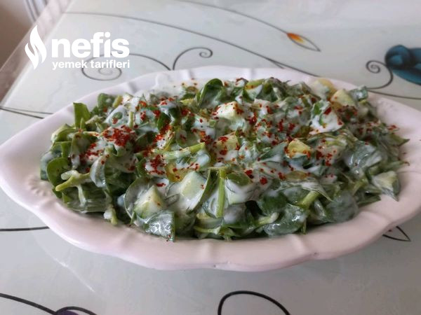 Sarımsaklı Yoğurtlu Semizotu Salatası