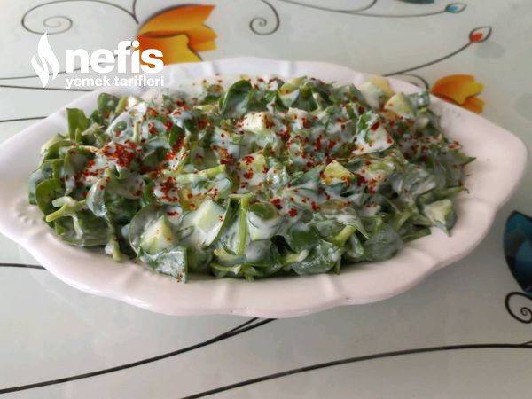 Sarımsaklı Yoğurtlu Semizotu Salatası