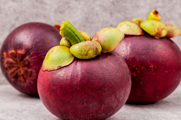 mangosten meyve faydaları