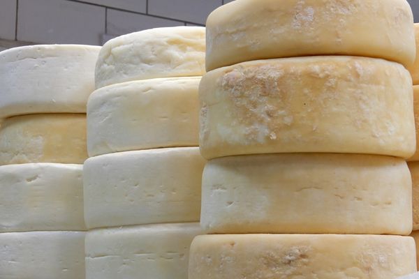 kolot peyniri nasıl yapılır