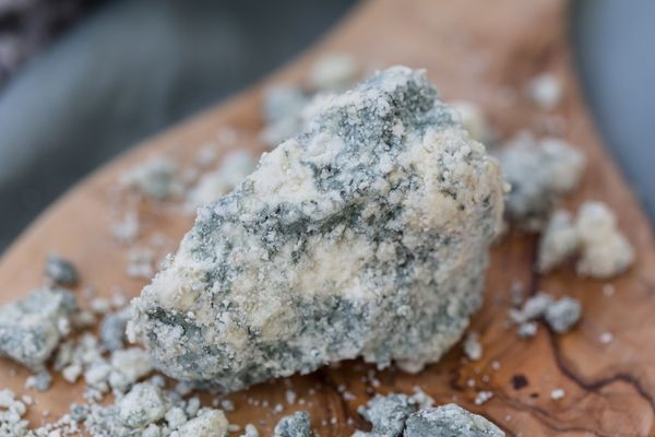 tulum peyniri besin değeri