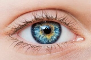 Göz Nezlesine İyi Gelen 7 Bitkisel Tedavi Yöntemi Tarifi