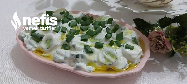 Yoğurtlu Salatalık Salatası