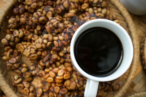 Dünyanın En Pahalı Kahvesi Kopi Luwak 5 Akılalmaz Özelliği Tarifi