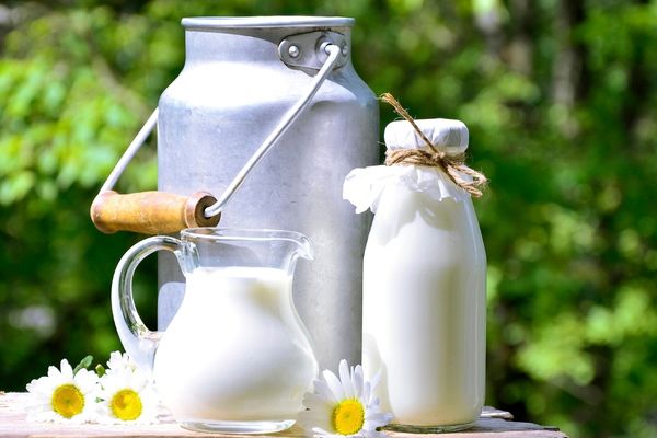 how to boil raw milk
