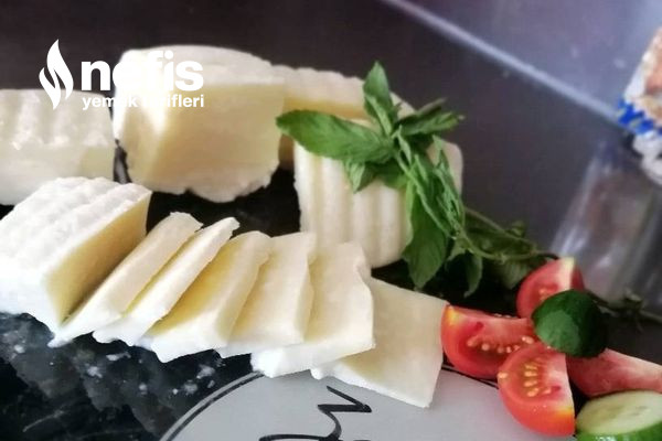 Peynir Tarifi