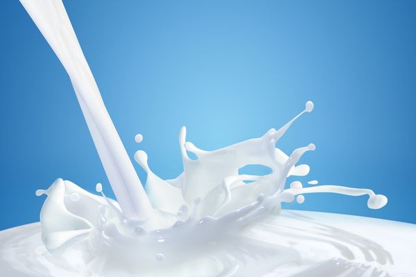 eşe sütü faydaları