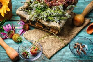 Şifalı Bitkiler: Her Derde Deva En Faydalı 10 Bitki, Kullanım Tavsiyeleri Tarifi