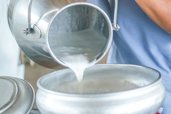 Keçi Sütü Faydaları: Anne Sütüne En Yakın Besin Deposu Tarifi
