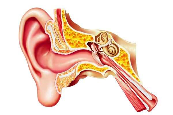 orta kulak iltihabı neden oluşur