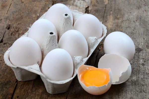 yumurta beyazı 
