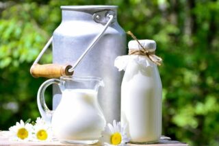 Sütün Faydaları Nelerdir? Düzenli Süt İçmenin Faydaları Tarifi