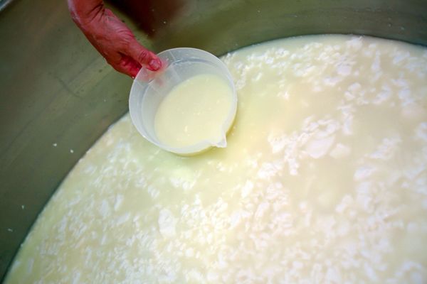 peynir altı suyu faydaları 