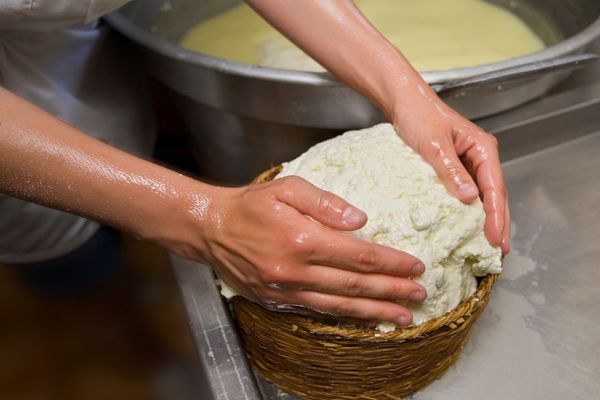 sepet peyniri nasıl yapılır