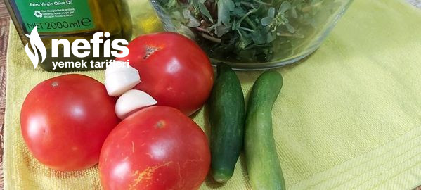 Domates Soslu Bahçe Salatası