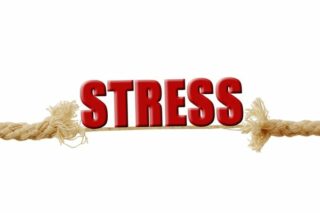 Strese Ne İyi Gelir? Kaygı ve Paniği Azaltan 6 Şifalı Bitki Çayı Tarifi