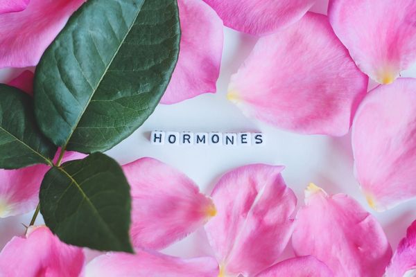 hormon sağlığı