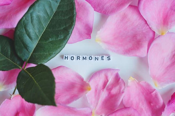 hormon sağlığı