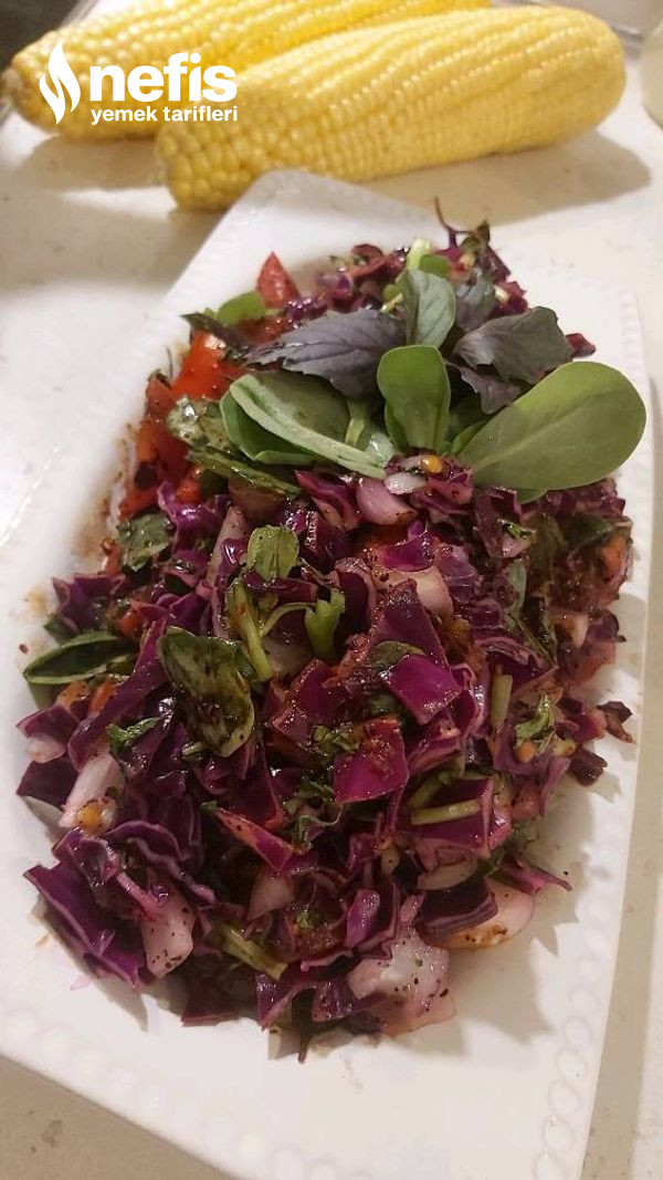 Reyhanlı Semizotlu Karalahana Salatası