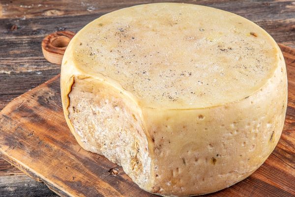 Kars Kaşarı – Gravyer Peyniri: Üretimi, Faydaları, Nasıl Yenir? Tarifi