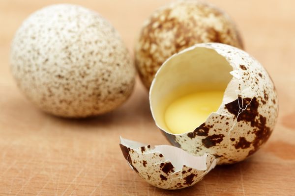 bıldırcın yumurtası protein