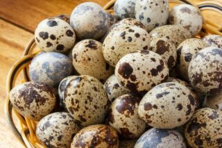 Bıldırcın Yumurtasının Faydaları ve Besin Değerleri: Tam Bir Mucize! Tarifi