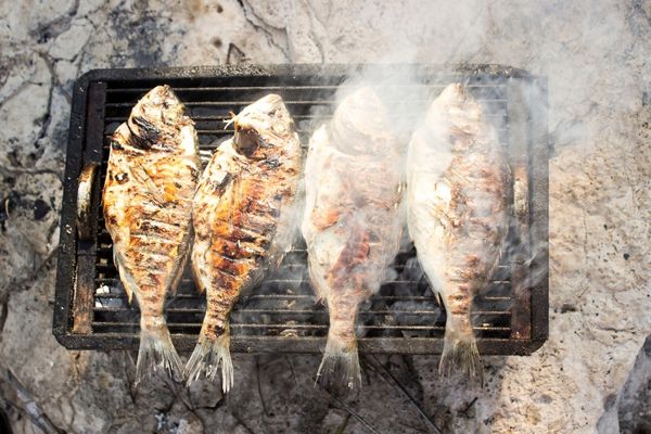 balık pişirmek