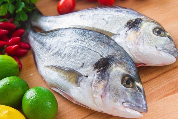 Çipura Balığı Kalori ve Besin Değeri, Faydaları, Nasıl Yapılır?