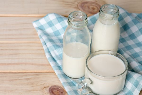 süt besin değeri