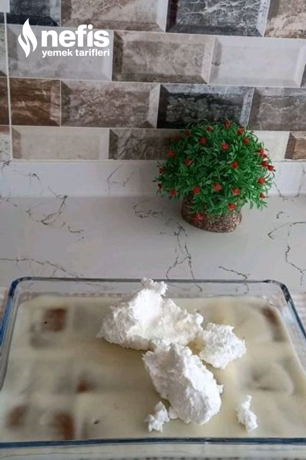 Bisküvili Borcam Pastası (Hem Kolay Hem Çok Lezzetli)
