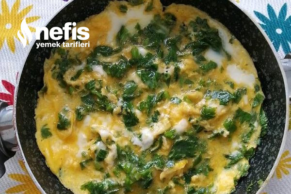 Kereviz Yapraklı Omlet