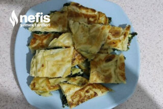 Tavada Ispanaklı Börek Tarifi