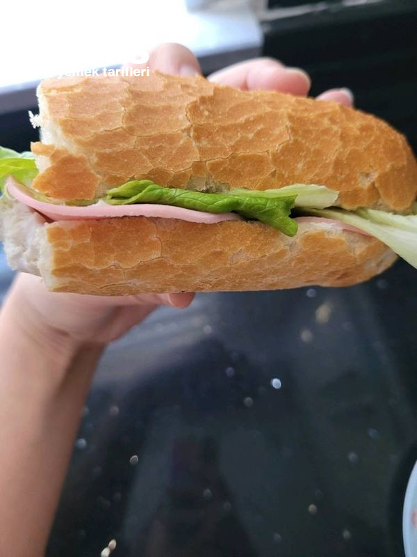 Soğuk Sandviç