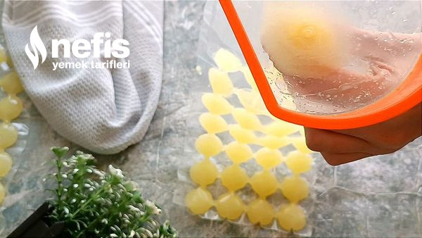 Buzluk İçin Konsantre Limonata Kapsülleri