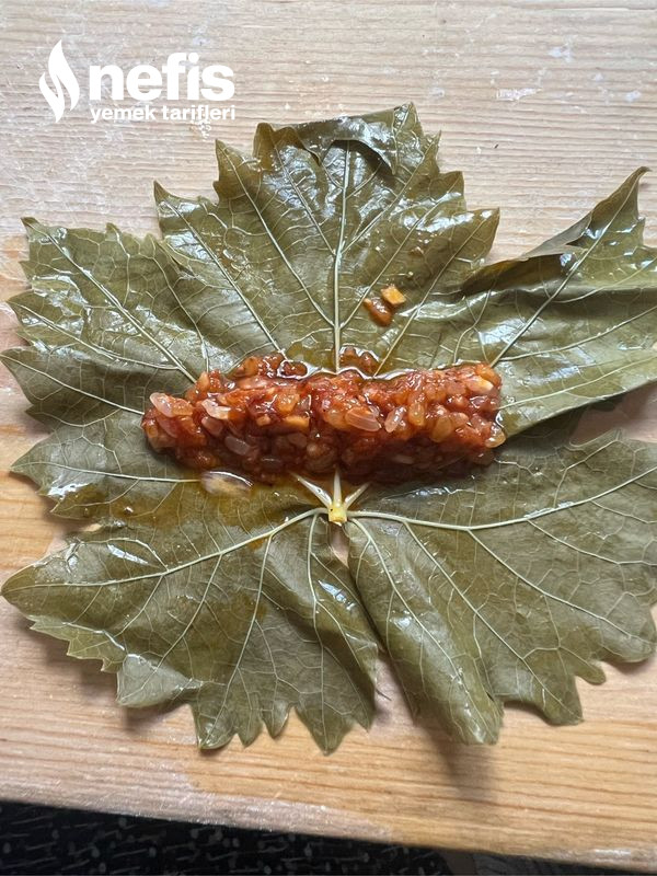 Dolma