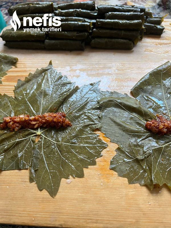 Dolma