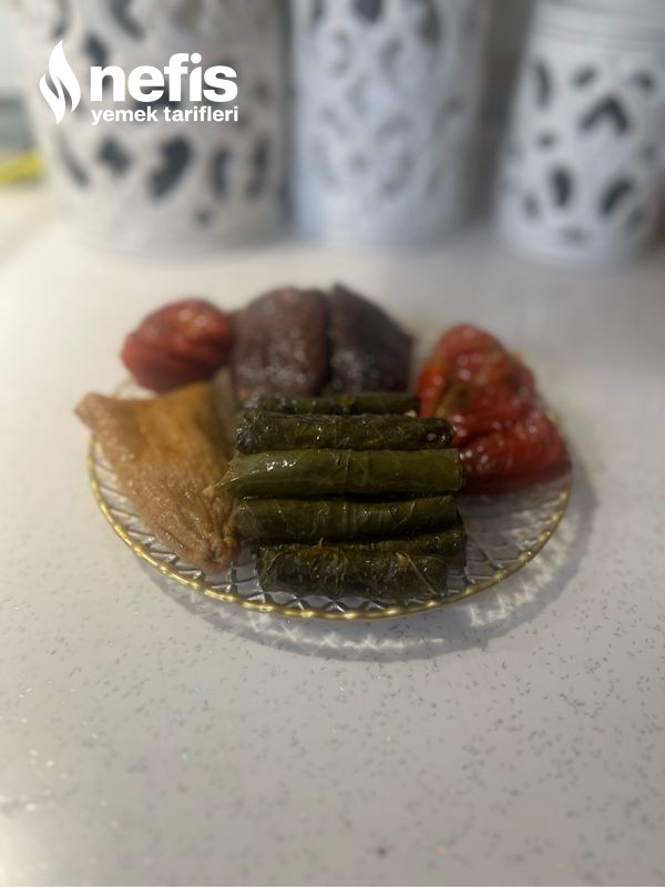 Dolma