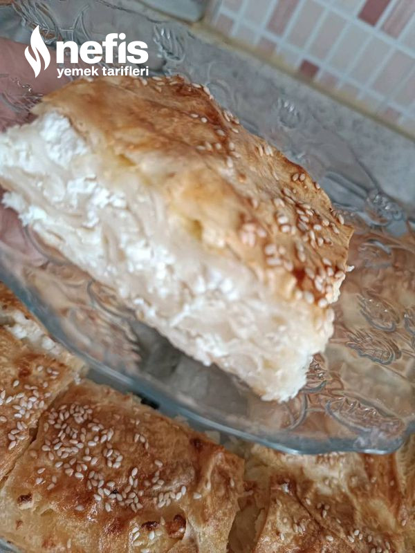 Su Böreği Tadında Peynirli Börek-11748806-190717