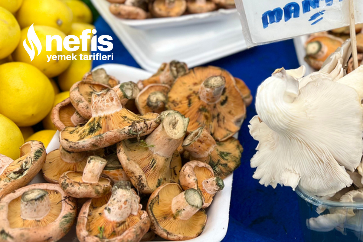 Protein Deposu Kanlıca (Çam) Mantarının Faydaları-6024016-091010